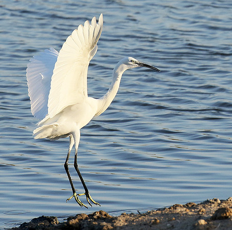 In the lagoon