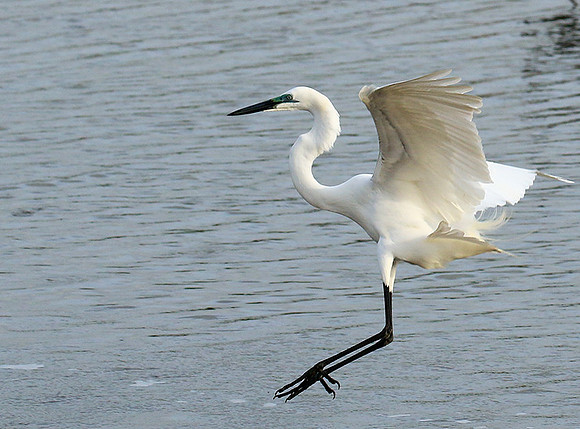 In the lagoon