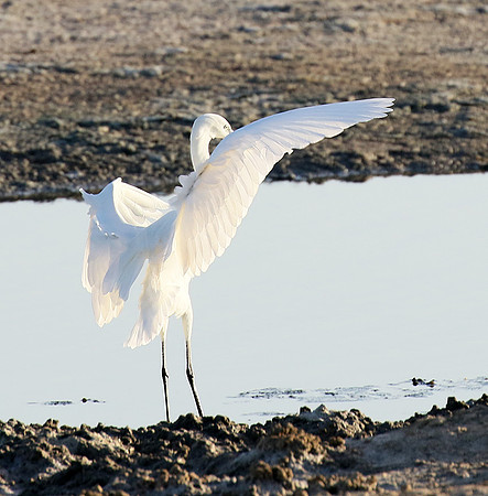 In the lagoon