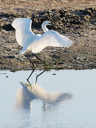 In the lagoon