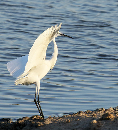 In the lagoon