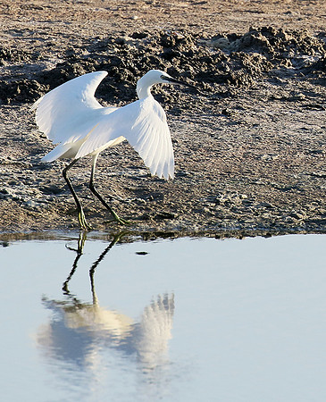 In the lagoon