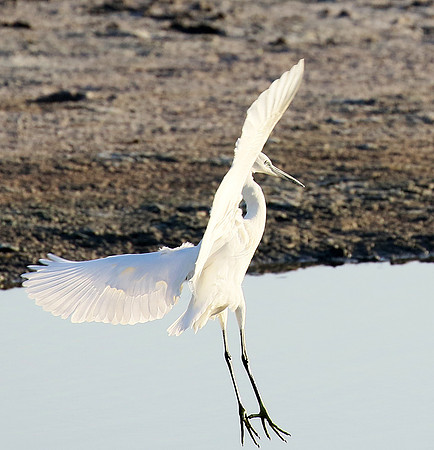 In the lagoon