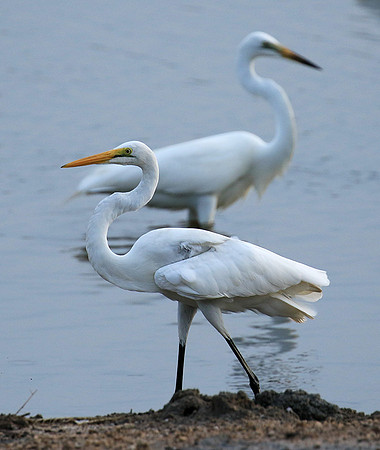In the lagoon