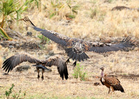 Meru NP