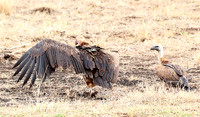 Meru NP