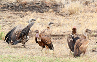 Meru NP