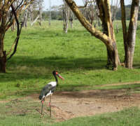 Laikipia