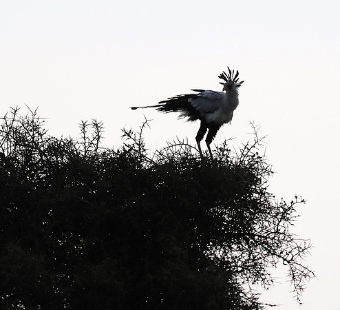 Nairobi National park