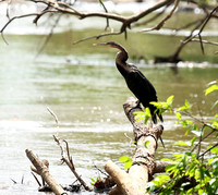 Meru NP