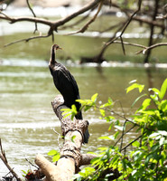 Meru NP