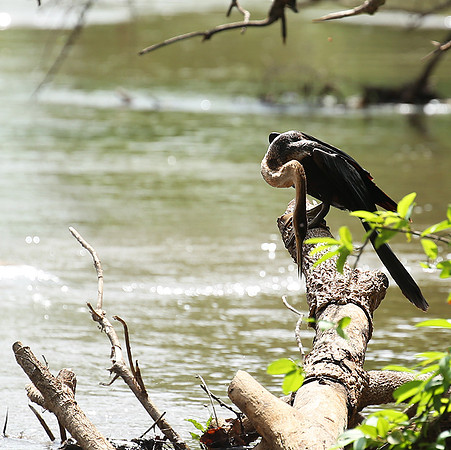 Meru NP