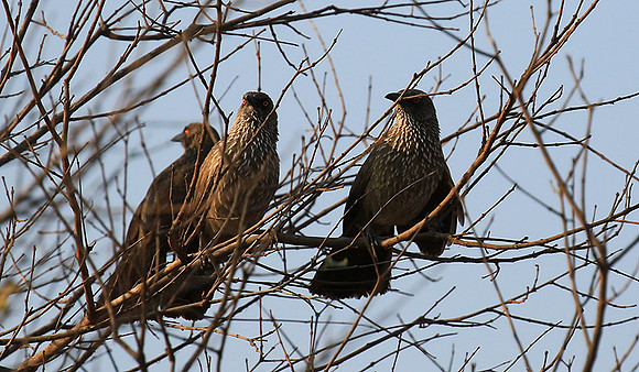 At Singita Lebombo