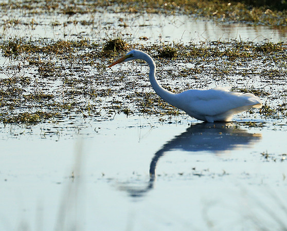 Liuwa Plain National Park