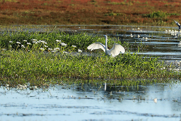 Liuwa Plain National Park
