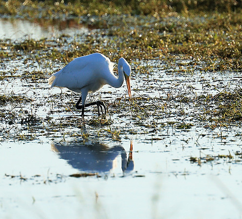 Liuwa Plain National Park