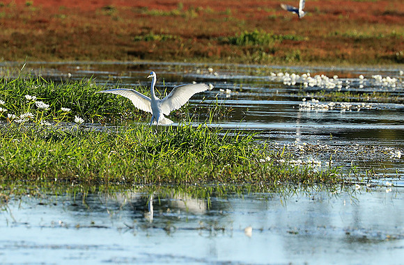 Liuwa Plain National Park