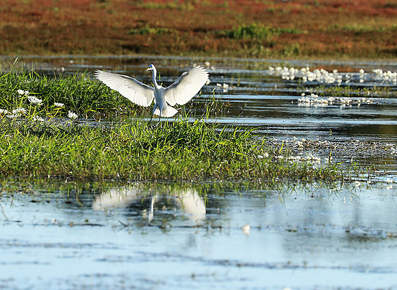 Liuwa Plain National Park
