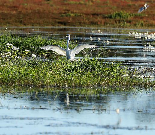 Liuwa Plain National Park