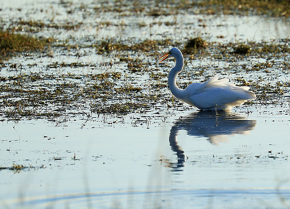 Liuwa Plain National Park