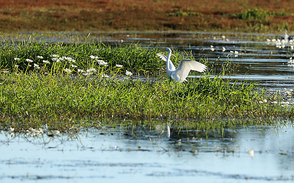 Liuwa Plain National Park