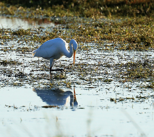 Liuwa Plain National Park