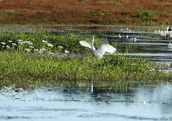 Liuwa Plain National Park