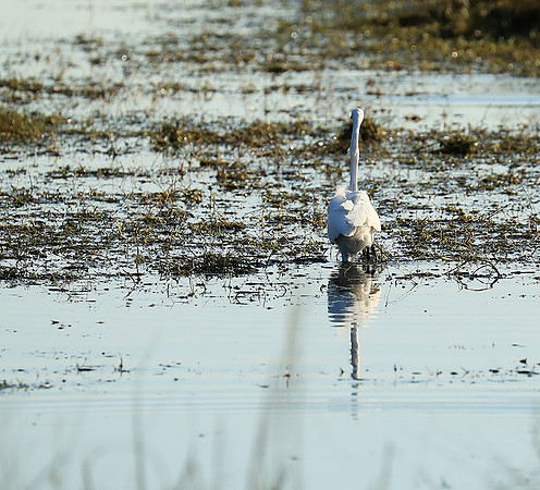 Liuwa Plain National Park