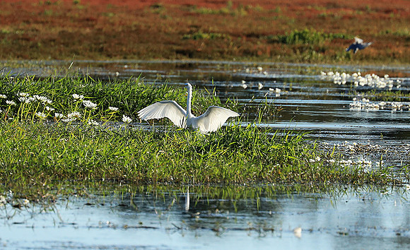 Liuwa Plain National Park