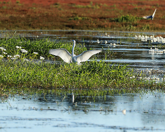 Liuwa Plain National Park