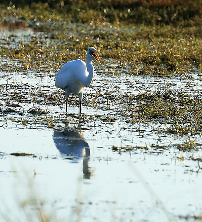 Liuwa Plain National Park