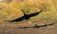 Kafue National Park