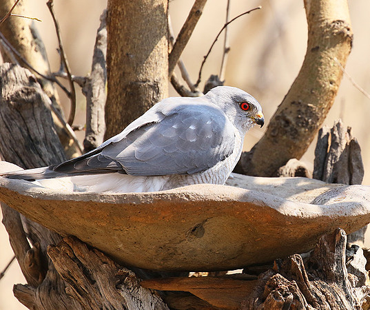 Hwange National Park