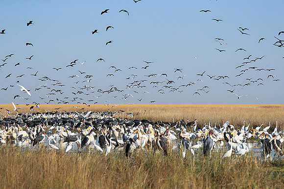 Liuwa Plain NP