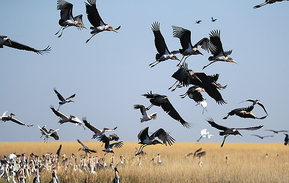 Liuwa Plain NP