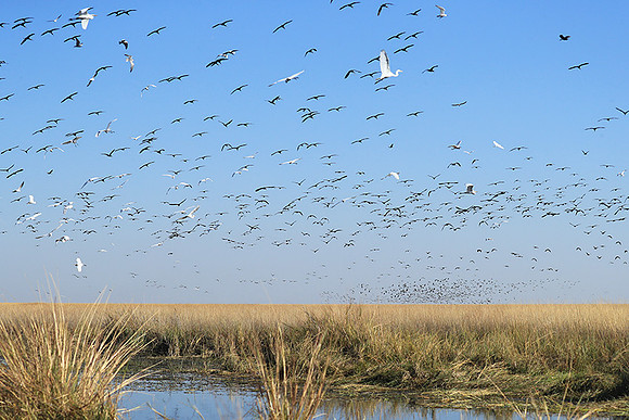 Liuwa Plain NP