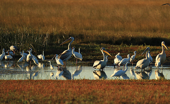 Liuwa Plain NP