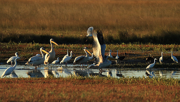 Liuwa Plain NP