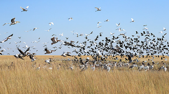 Liuwa Plain NP