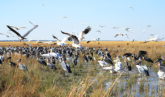 Liuwa Plain NP