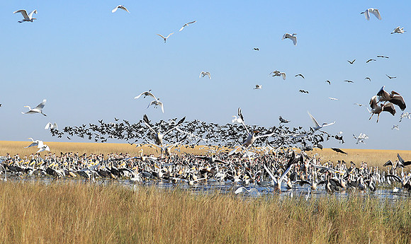 Liuwa Plain NP
