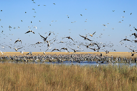 Liuwa Plain NP