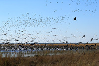 Liuwa Plain NP