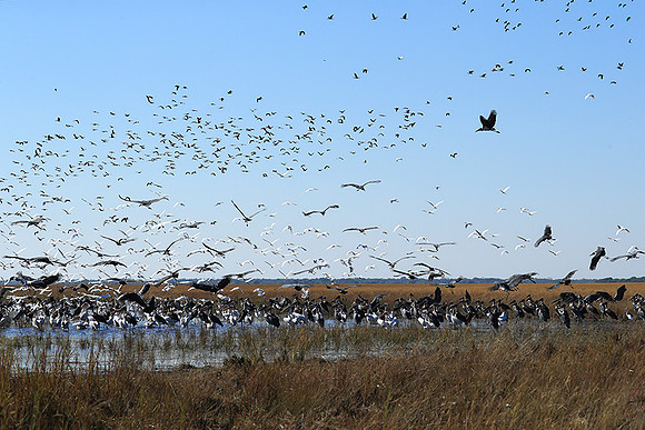Liuwa Plain NP