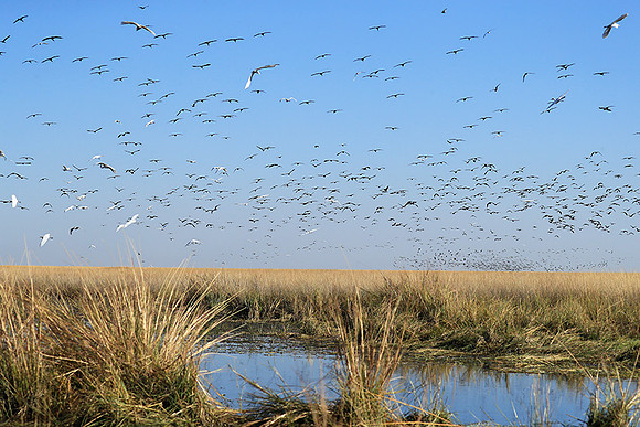 Liuwa Plain NP