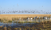 Liuwa Plain NP