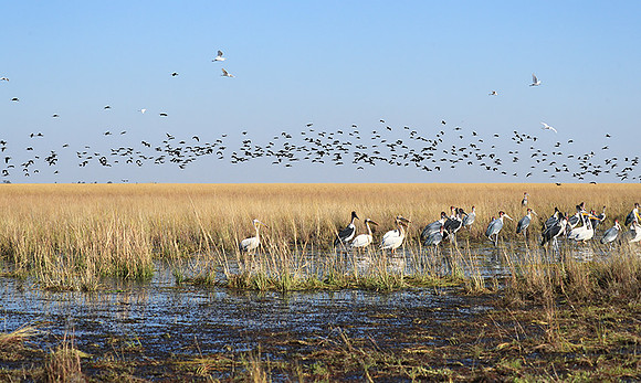 Liuwa Plain NP