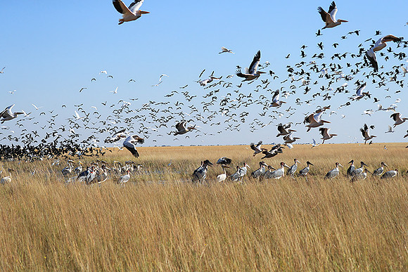 Liuwa Plain NP