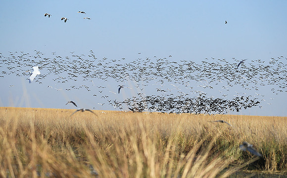 Liuwa Plain NP