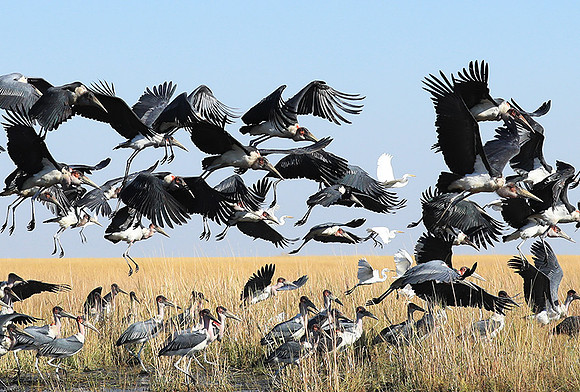 Liuwa Plain NP